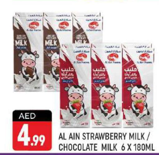 AL AIN Flavoured Milk  in Shaklan  in UAE - Dubai