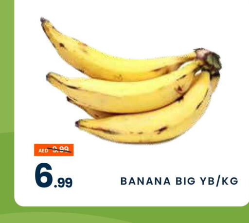  Banana  in مدهور سوبرماركت in الإمارات العربية المتحدة , الامارات - دبي