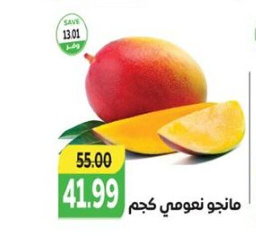  Mangoes  in The Mart  in Egypt - Cairo