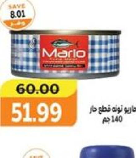  Tuna - Canned  in The Mart  in Egypt - Cairo