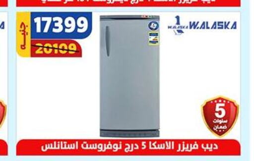  Freezer  in Shaheen Center in Egypt - Cairo