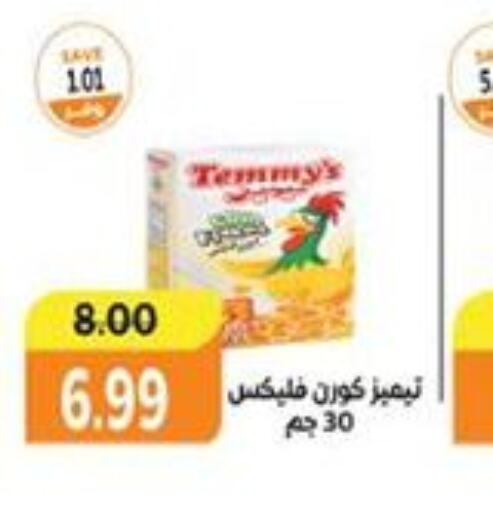 TEMMYS   in The Mart  in Egypt - Cairo