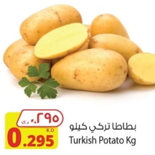  Potato  in شركة المنتجات الزراعية الغذائية in الكويت - مدينة الكويت