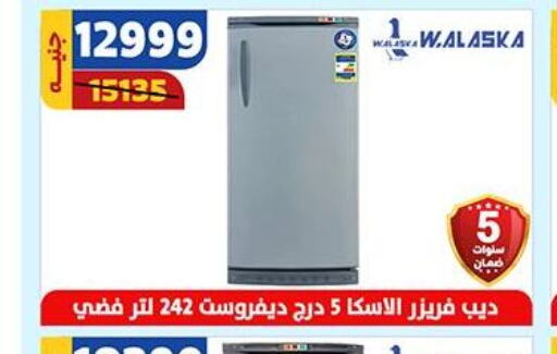  Freezer  in Shaheen Center in Egypt - Cairo