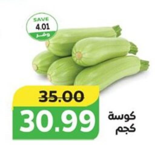  Zucchini  in  in Egypt - القاهرة