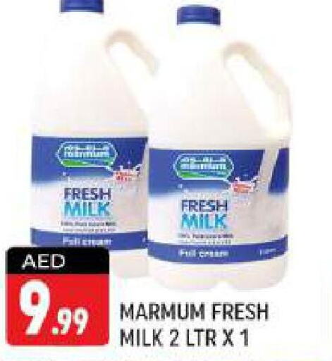 MARMUM Fresh Milk  in Shaklan  in UAE - Dubai