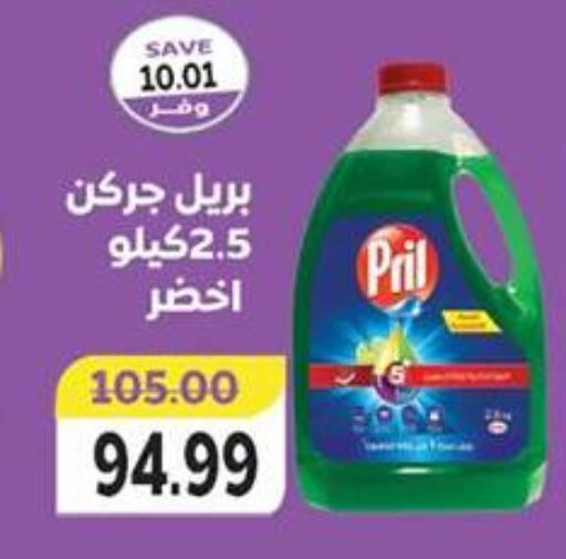 PRIL   in The Mart  in Egypt - Cairo