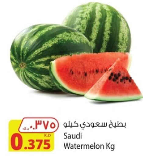  Watermelon  in شركة المنتجات الزراعية الغذائية in الكويت - مدينة الكويت