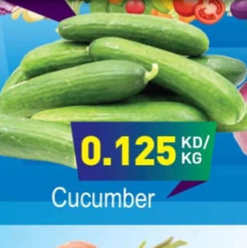  Cucumber  in داي فريش in الكويت - مدينة الكويت