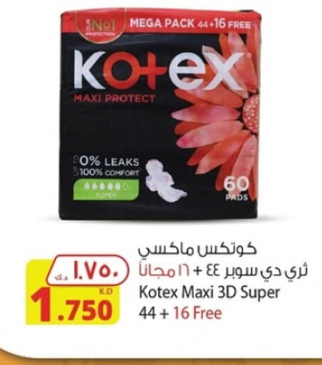 KOTEX   in شركة المنتجات الزراعية الغذائية in الكويت - محافظة الأحمدي