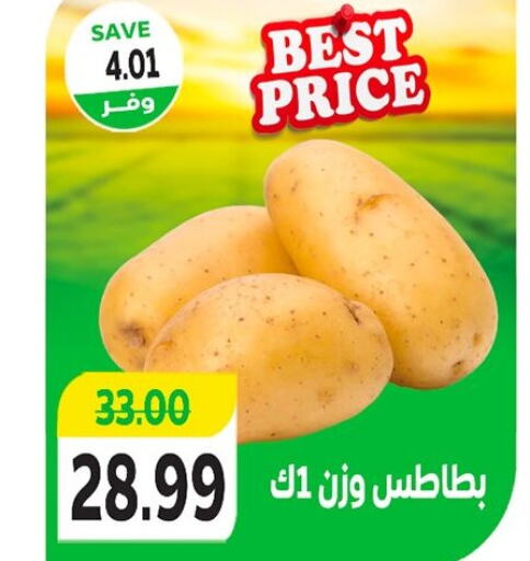  Potato  in The Mart  in Egypt - Cairo