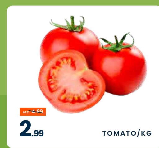  Tomato  in مدهور سوبرماركت in الإمارات العربية المتحدة , الامارات - دبي