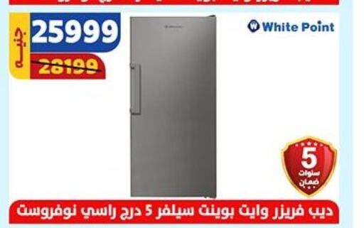 WHITE POINT Freezer  in Shaheen Center in Egypt - Cairo