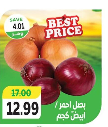  Onion  in The Mart  in Egypt - Cairo