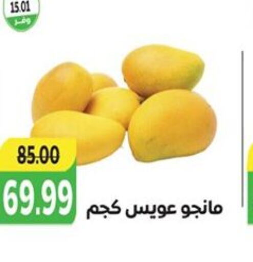  Mangoes  in The Mart  in Egypt - Cairo