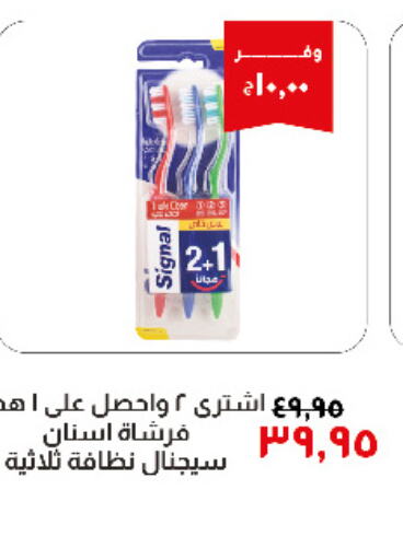 SIGNAL Toothbrush  in Kheir Zaman  in Egypt - Cairo