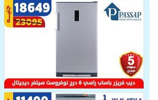  Freezer  in Shaheen Center in Egypt - Cairo