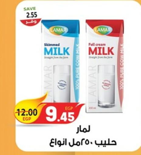  Full Cream Milk  in The Mart  in Egypt - Cairo