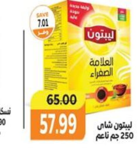 Lipton Tea Powder  in  in Egypt - القاهرة