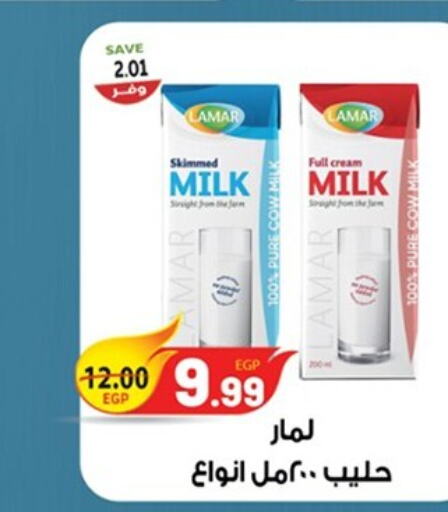  Full Cream Milk  in The Mart  in Egypt - Cairo