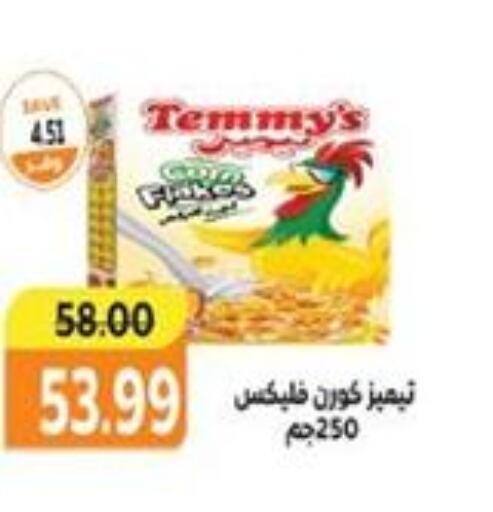 TEMMYS   in The Mart  in Egypt - Cairo