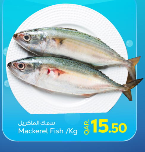    in Paris Hypermarket in Qatar - Al Wakra