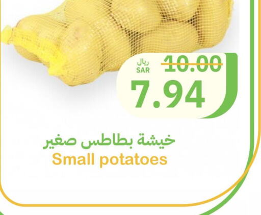  Potato  in Qateba Markets in KSA, Saudi Arabia, Saudi - Buraidah