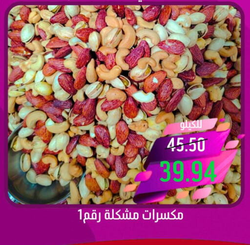    in كاندي بلانيت in مملكة العربية السعودية, السعودية, سعودية - الخبر‎