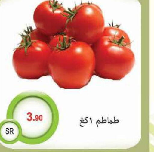  Tomato  in مخازن م.بدرالدين in مملكة العربية السعودية, السعودية, سعودية - المدينة المنورة