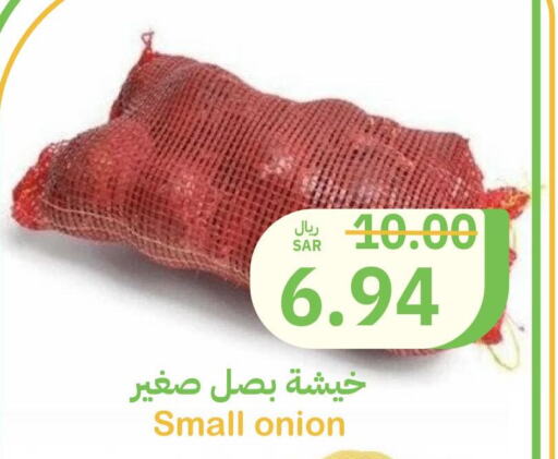  Onion  in Qateba Markets in KSA, Saudi Arabia, Saudi - Buraidah