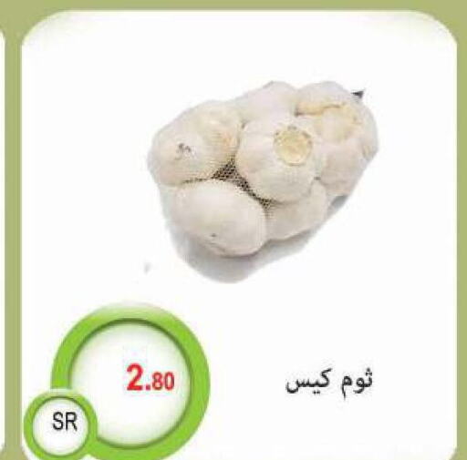  Garlic  in M B S S in KSA, Saudi Arabia, Saudi - Medina