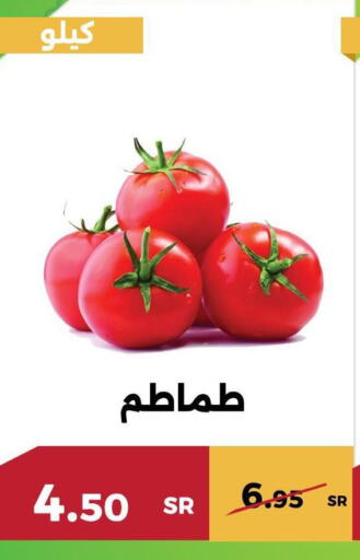  Tomato  in حدائق الفرات in مملكة العربية السعودية, السعودية, سعودية - مكة المكرمة