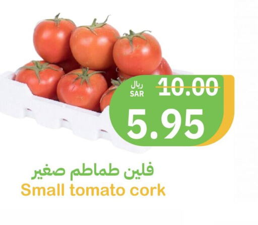  Tomato  in Qateba Markets in KSA, Saudi Arabia, Saudi - Buraidah