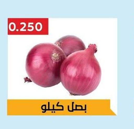  Onion  in Hadiya CO-OP Society in Kuwait - Ahmadi Governorate