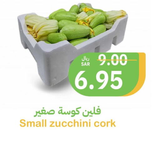  Zucchini  in Qateba Markets in KSA, Saudi Arabia, Saudi - Buraidah