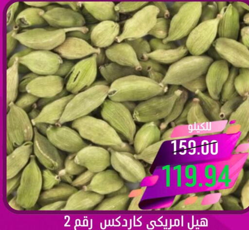  أعشاب مجففة  in كاندي بلانيت in مملكة العربية السعودية, السعودية, سعودية - الخبر‎