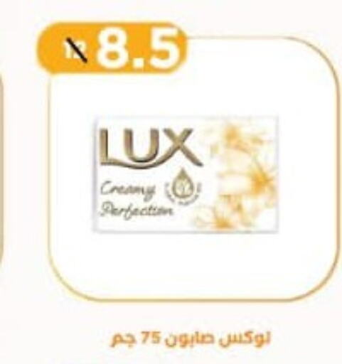 LUX   in Ben Seoud in Egypt - Cairo