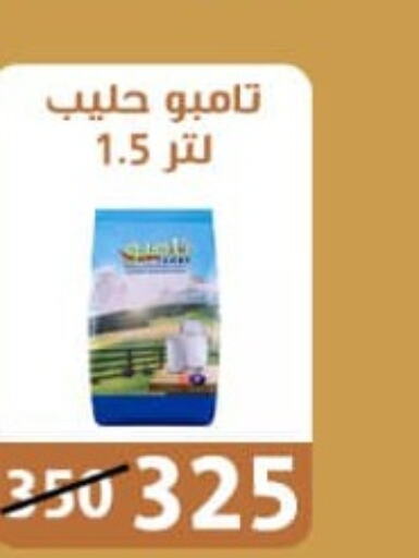  Milk Powder  in Ben Seoud in Egypt - Cairo