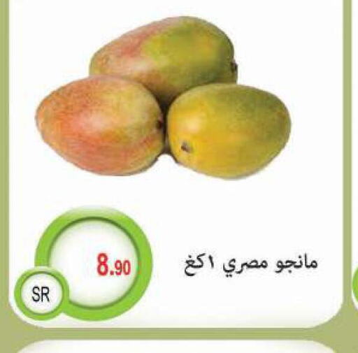  Mangoes  in M B S S in KSA, Saudi Arabia, Saudi - Medina