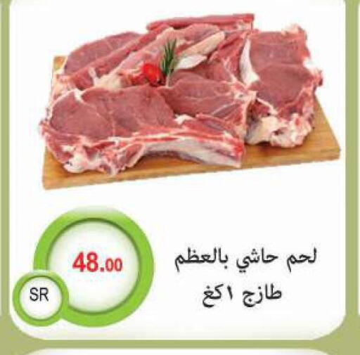  Camel meat  in M B S S in KSA, Saudi Arabia, Saudi - Medina