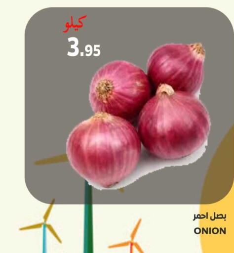  Onion  in سوبر مارشيه in مملكة العربية السعودية, السعودية, سعودية - مكة المكرمة