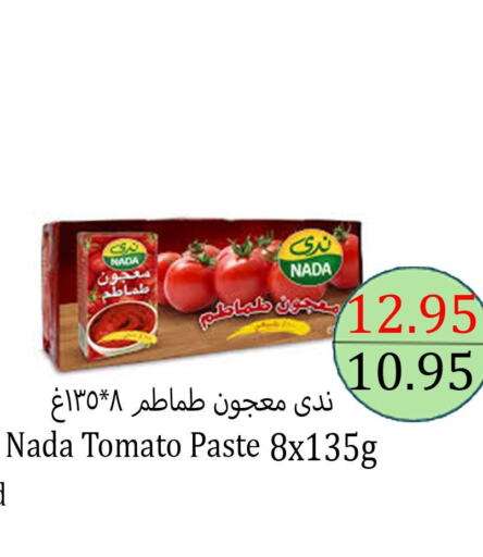 NADA Tomato Paste  in Aldeera Supermarket in KSA, Saudi Arabia, Saudi - Yanbu