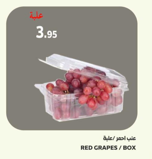  Grapes  in Supermarche in KSA, Saudi Arabia, Saudi - Mecca