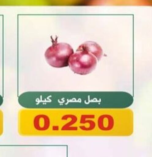  Onion  in جمعية الحرس الوطني in الكويت - مدينة الكويت