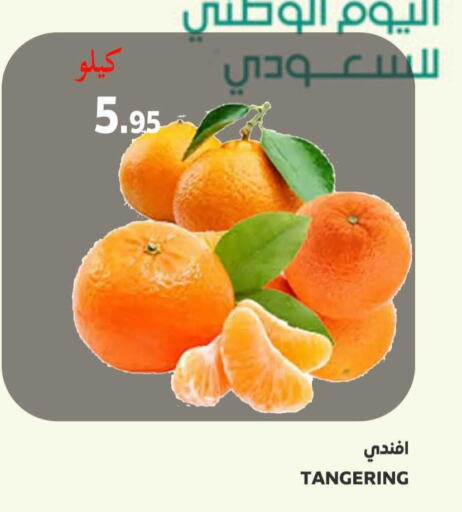  Orange  in Supermarche in KSA, Saudi Arabia, Saudi - Mecca