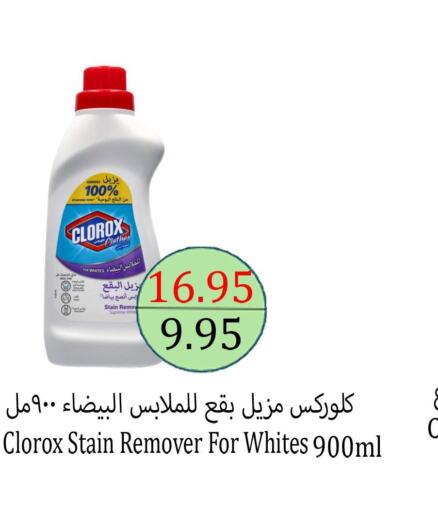 CLOROX General Cleaner  in Aldeera Supermarket in KSA, Saudi Arabia, Saudi - Yanbu