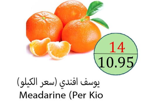  Orange  in Aldeera Supermarket in KSA, Saudi Arabia, Saudi - Yanbu