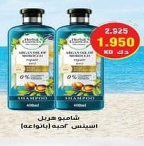  Shampoo / Conditioner  in Ali Sabah Al Salem Co-op in Kuwait - Ahmadi Governorate