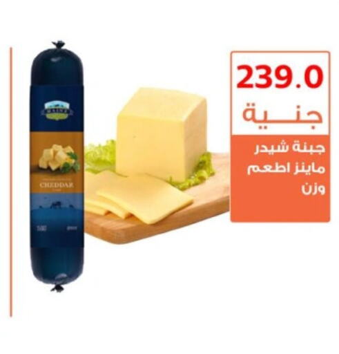  Cheddar Cheese  in Ghallab Market in Egypt - Cairo