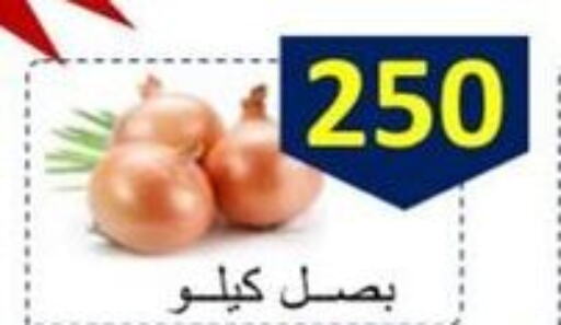  Onion  in Sabahiya Cooperative Society in Kuwait